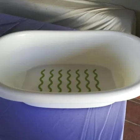 Enjoying Tenerife - Full With Swimming Pool Apartment Santa Cruz de Tenerife